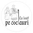 5LwGdiKmYcA-channel-avatar-Cu Iosif pe coclauri