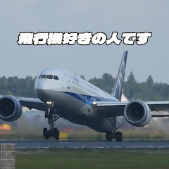 飛行機好きの人です