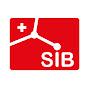 SIB - Swiss Institute of Bioinformatics logo