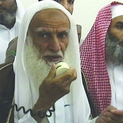 Ibn Uthaymeen Fatawa in English channel avatar