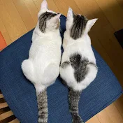 まみぃ