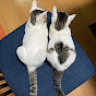 まみぃ