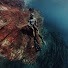 2OWzCw_Pmw8-channel-avatar-Dawid PescaSubmarina