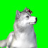 jgjnjqlOUqY-channel-avatar-NongHanging (น้องห้ะหงิง)