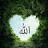 @احمدهشام-ث8د3ت