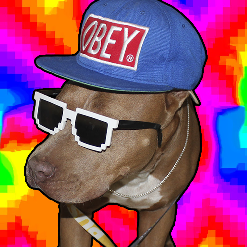Channel Avatar