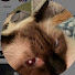 u9tbXwVG_mE-channel-avatar-Tbro
