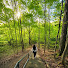 ztgtnaXMyIo-channel-avatar-The Wanderlust