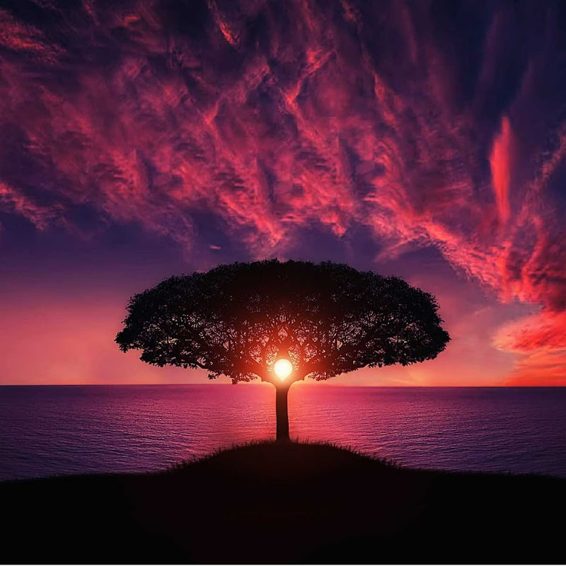 Finding Inspiration