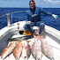 16qrstgxnT0-channel-avatar-Paulo Leite pescasub