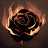 Fire Rose