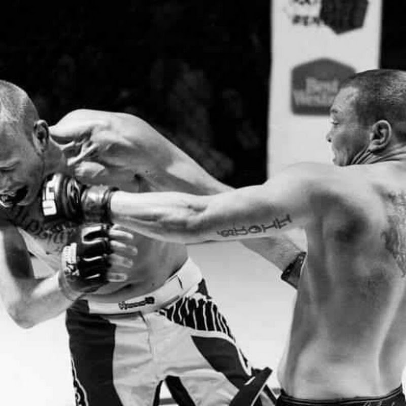 Wingo Reviews Boxing and Mma