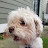 @troyr3478 Avatar