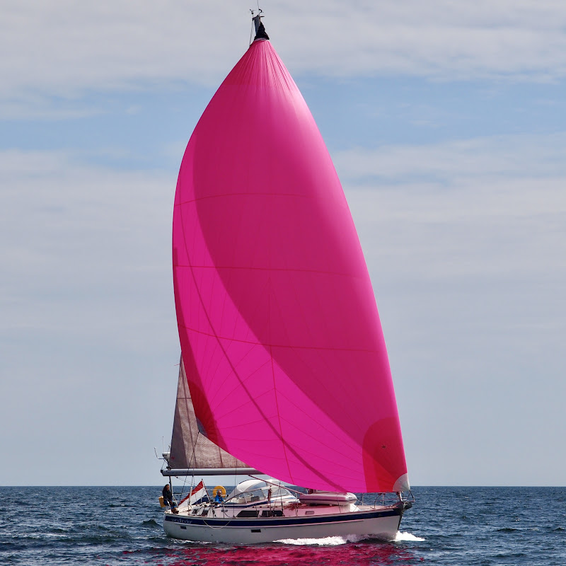 sailingwindfinder