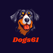 Dogs61