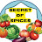 Secret of Spices
