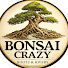 KAedxtviS14-channel-avatar-Bonsai crazy