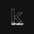 vzlZy9zpw0Q-channel-avatar-Kineko Video