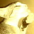 JSeO7TSHuYc-channel-avatar-Animal action