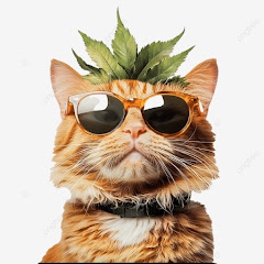 2chほっこり日和 アイコン画像