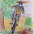 JtCxblW67wA-channel-avatar-kozivak classic enduro & mx 