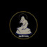 XpwAtuIh36g-channel-avatar-Instructions_007 