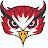 Union Owls Athletics