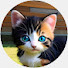 BjYgFvmMvc4-channel-avatar-ねこたまのニュースCH