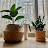 @user-doittryit7good