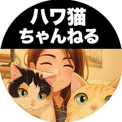 ハワ猫ちゃんねる〜Hawa Neko Channel 〜アイコン画像