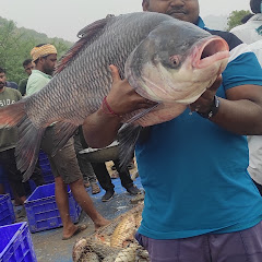 Vishnu Nani