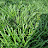 @user-qk8xr8cw3q