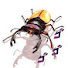 2UyTVjJhhtw-channel-avatar-極限甲虫 ExtremeTourname