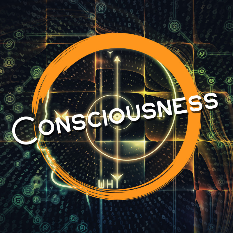 Consciousness