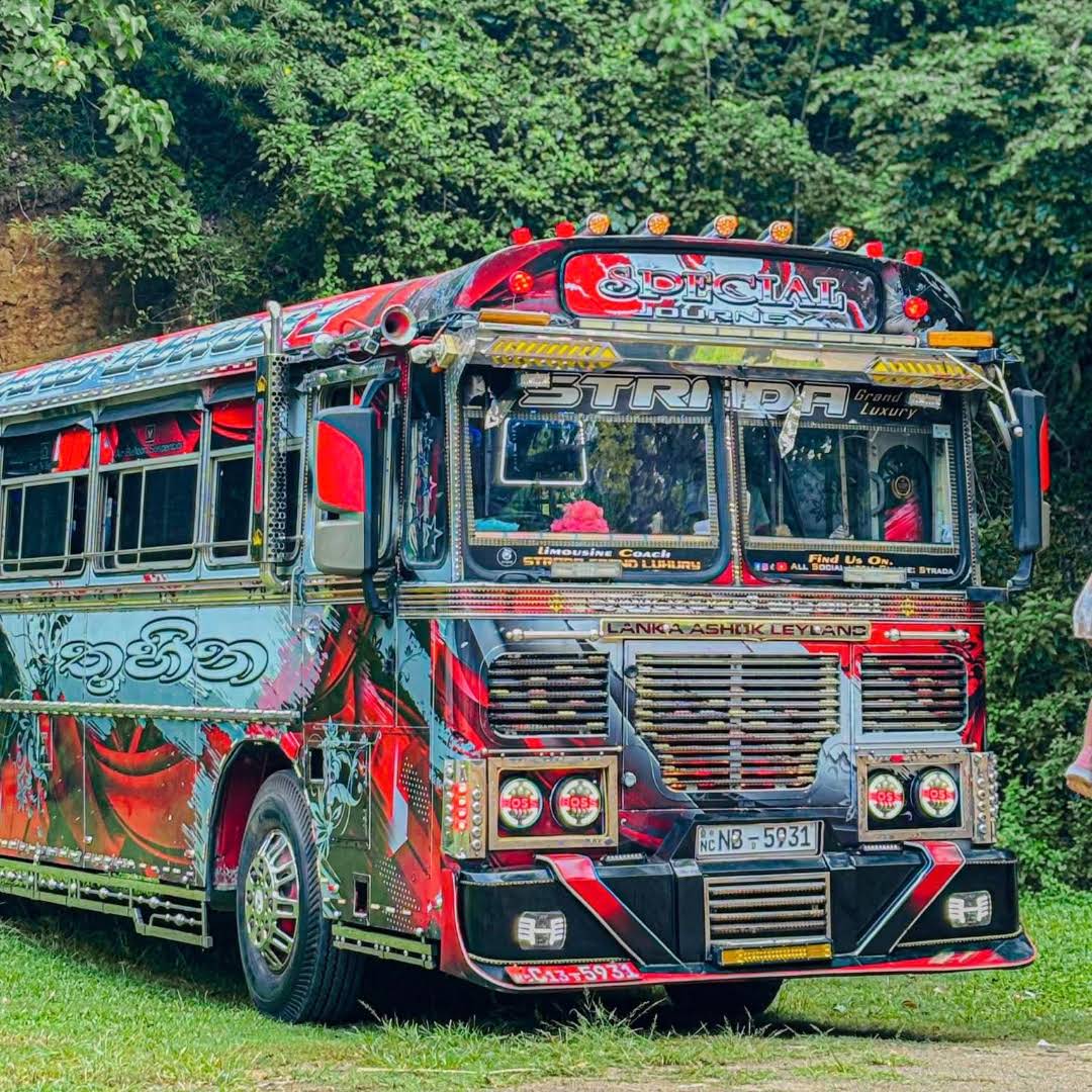 Post from Trend Bus Kingdom