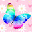 QQ_Toons_JJ Miracle Butterfly