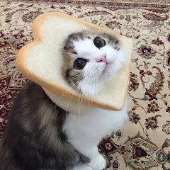 Miauw
