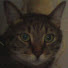 4gjj1q09TXA-channel-avatar-GnomeMemer2 and 4 more