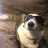 @Roaddoggie951 Avatar