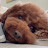 @문똘이-m2f