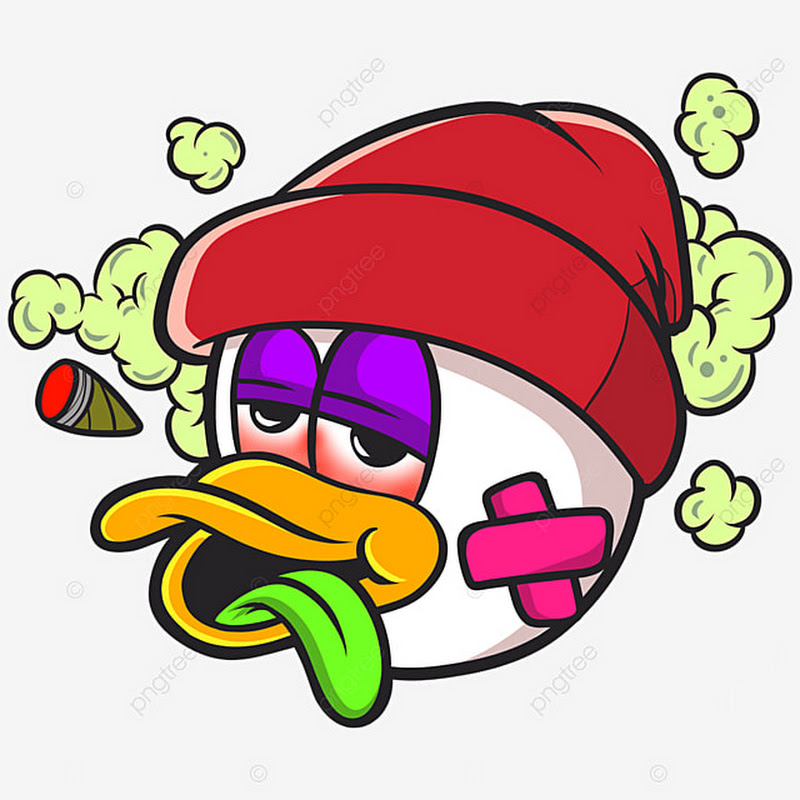Cooked DUCK
