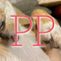 PennyPaws Rescue YouTube Profile Photo