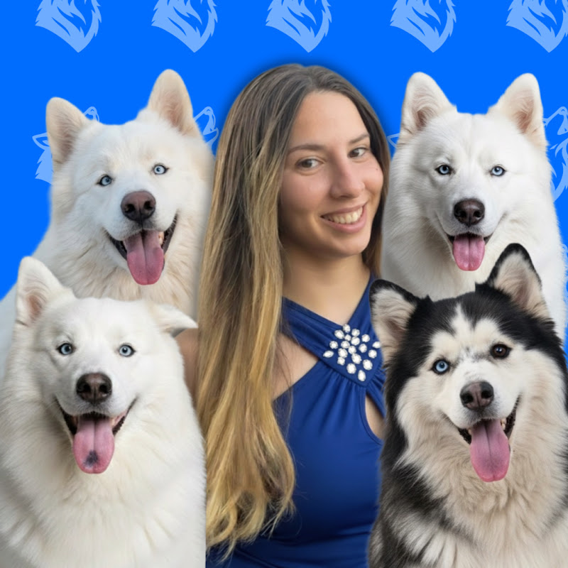אופיר וההאסקים🦋💙