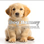 Dog Barney logo