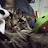 @Ilovemycatrj