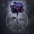 HnRMRv5vtug-channel-avatar-Dark rose