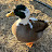 @Katie38689 Avatar