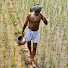 ELejPDVYt94-channel-avatar-Punjabi Breaking News Kisan