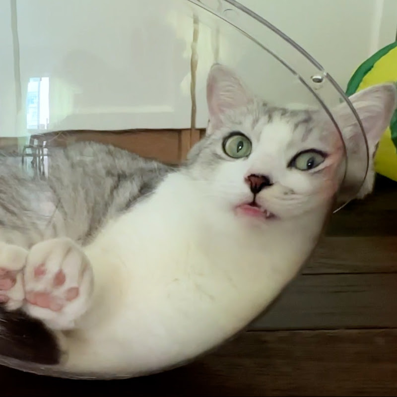 徐霞客 Travel and ExploreCuisine Logo