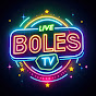 David Boles logo